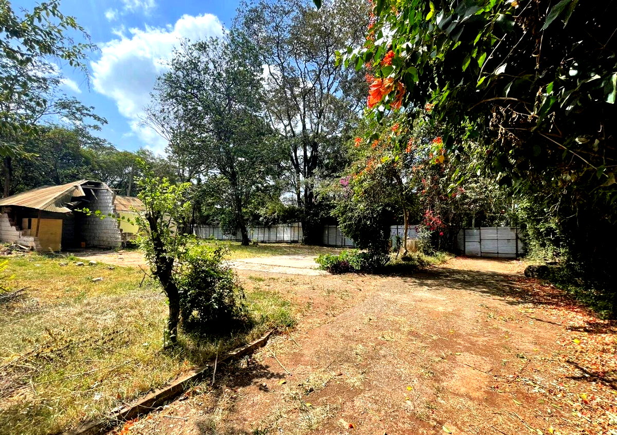 1.4-Acre Lavington Plot for KSh 400M