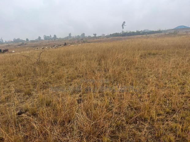 1/8 Plots for Sale Opposite Mang'u High School