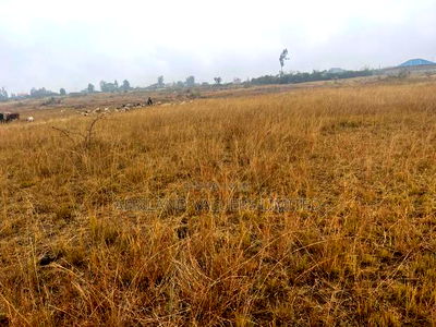 1/8 Plots for Sale Opposite Mang'u High School - Image 10