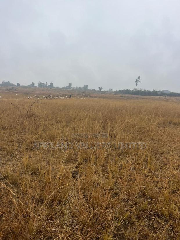 1/8 Plots for Sale Opposite Mang'u High School