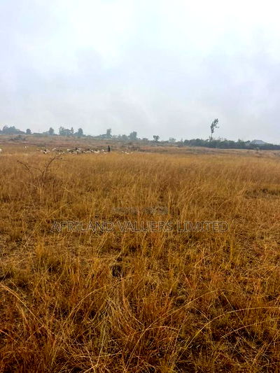 1/8 Plots for Sale Opposite Mang'u High School - Image 6