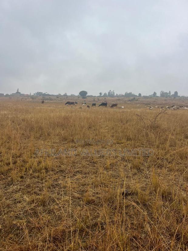 1/8 Plots for Sale Opposite Mang'u High School