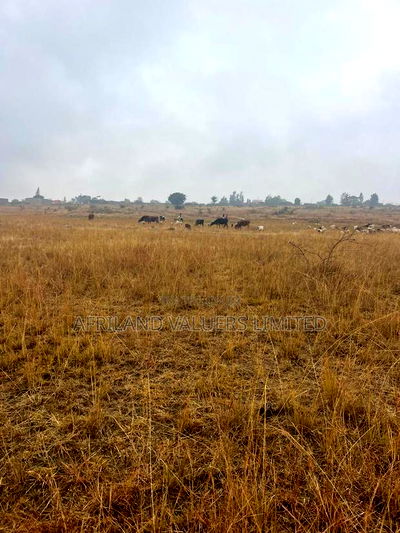 1/8 Plots for Sale Opposite Mang'u High School - Image 7