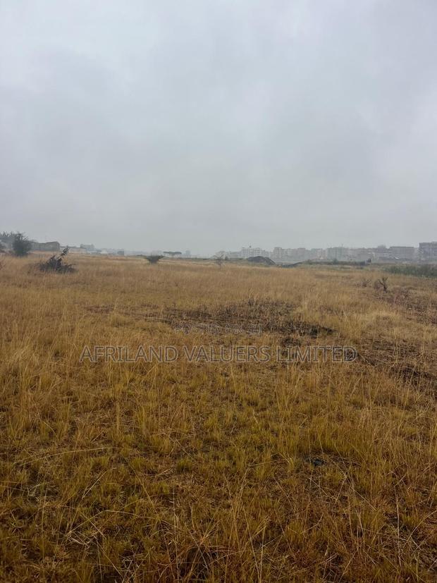 1/8 Plots for Sale Opposite Mang'u High School