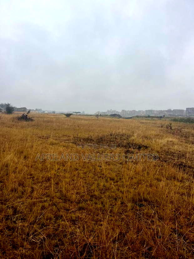 1/8 Plots for Sale Opposite Mang'u High School