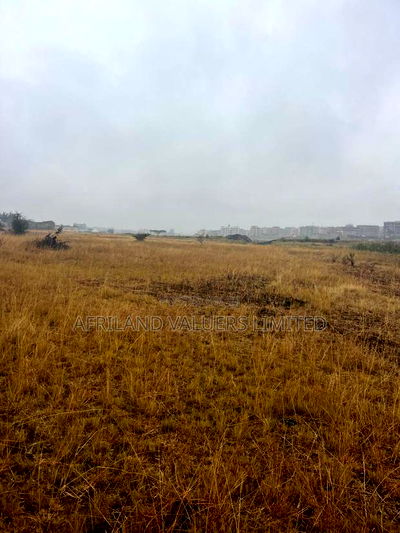 1/8 Plots for Sale Opposite Mang'u High School - Image 4