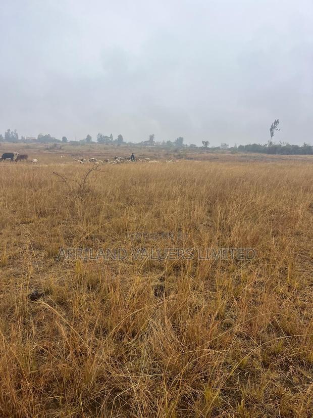 1/8 Plots for Sale Opposite Mang'u High School