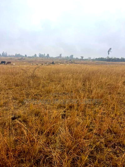 1/8 Plots for Sale Opposite Mang'u High School - Image 9