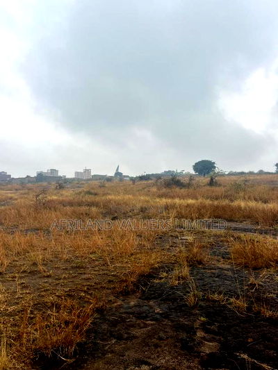 1/8 Plots for Sale Opposite Mang'u High School - Image 1