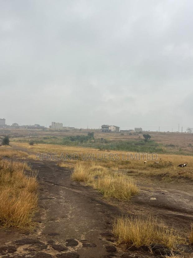 1/8 Plots for Sale Opposite Mang'u High School