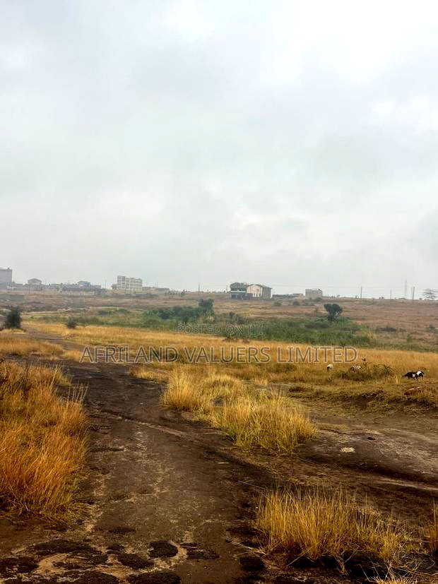 1/8 Plots for Sale Opposite Mang'u High School