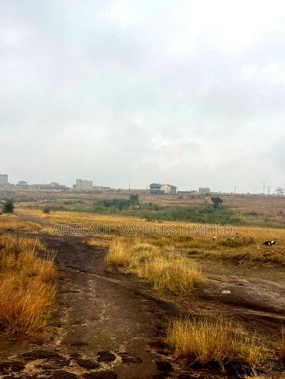 1/8 Plots for Sale Opposite Mang'u High School - Image 2