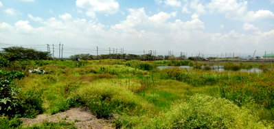 1-Acre Plot Near Mombasa Road