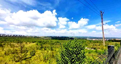 Half-Acre Serviced Plot with House Designs - Tilisi Woods, Tigoni