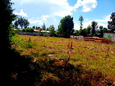 Prime 1/4 Acre for Sale in Maillinne, Eldoret - Image 2