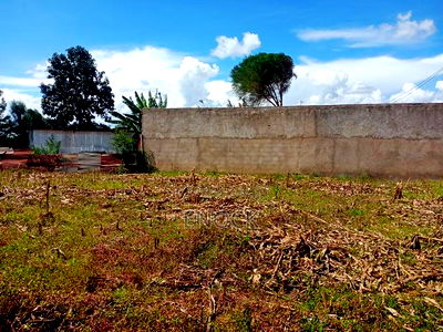 Prime 1/4 Acre for Sale in Maillinne, Eldoret - Image 3