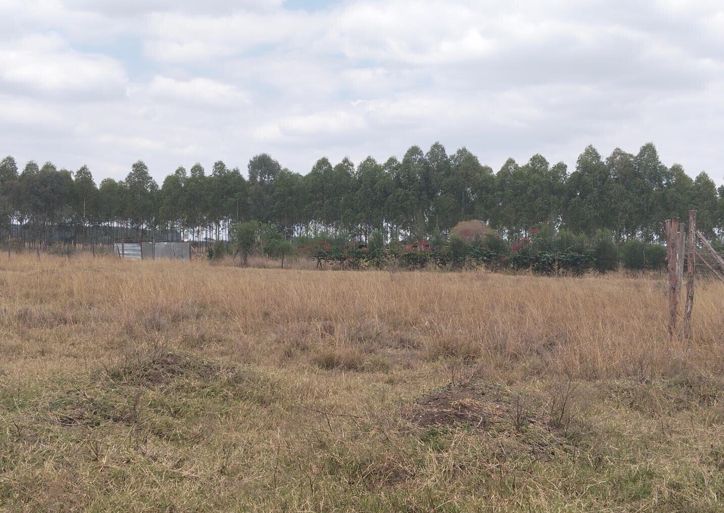 1/8 Acre Plot Under 4M