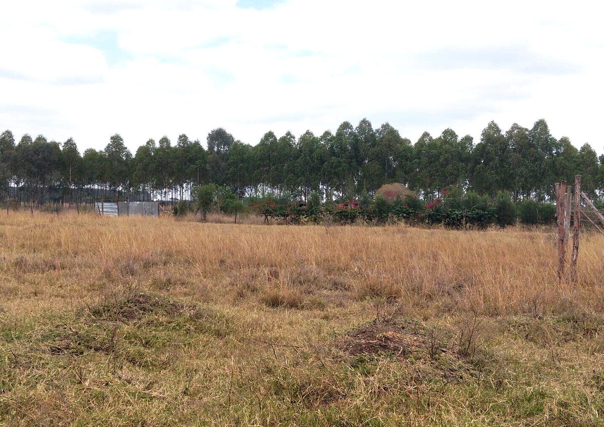 1/8 Acre Plot Under 4M