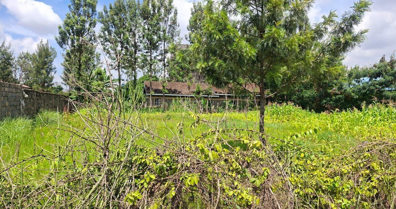 Quarter Acre Garden Plot in Githurai