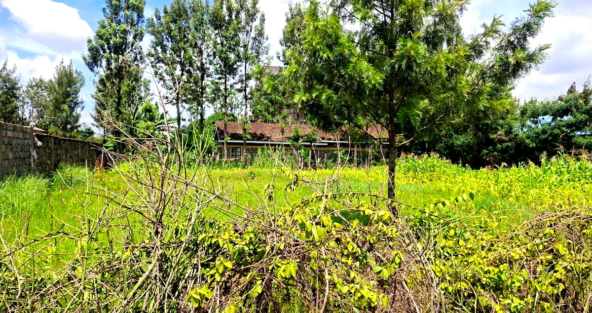 Quarter Acre Garden Plot in Githurai
