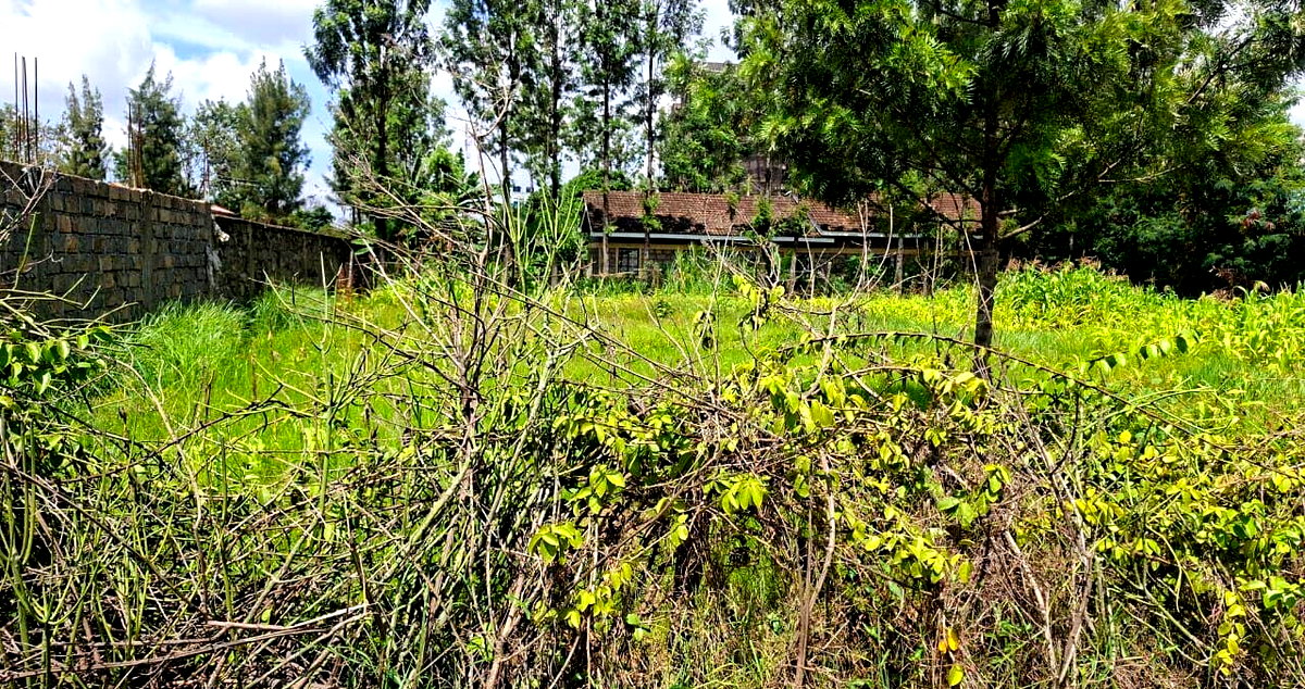 Quarter Acre Garden Plot in Githurai