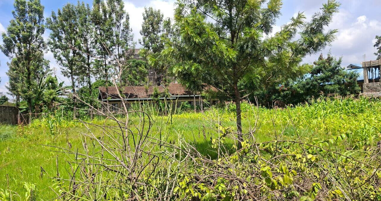 Quarter Acre Garden Plot in Githurai