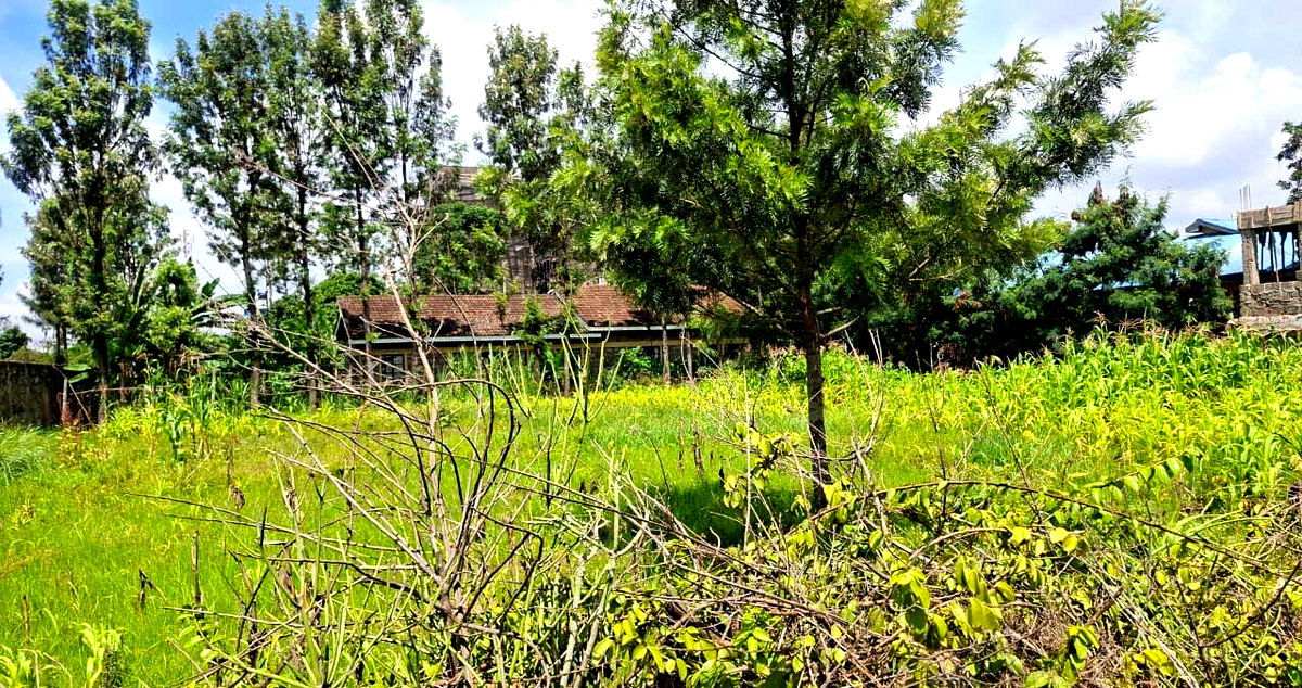 Quarter Acre Garden Plot in Githurai