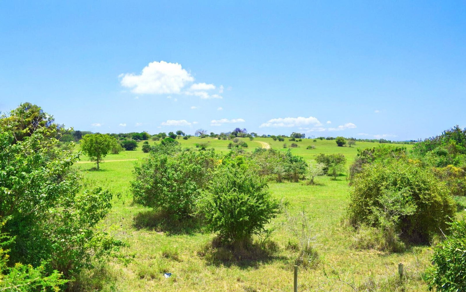 Bronze Plot at KSh 4.5M