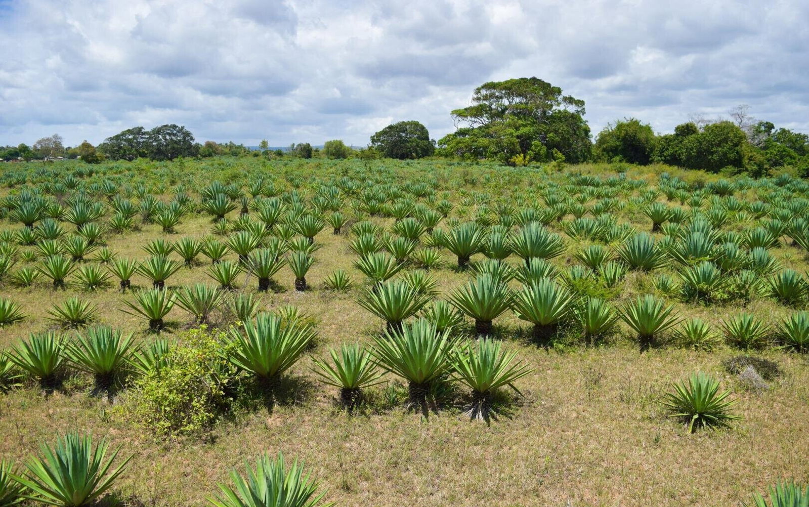 Bronze Plot at KSh 4.5M
