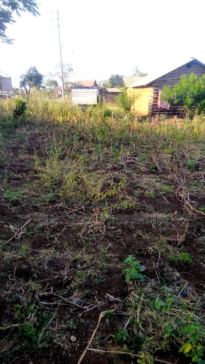 50/120 Feet Plot for Sale Along Kengeleni Road - Image 5