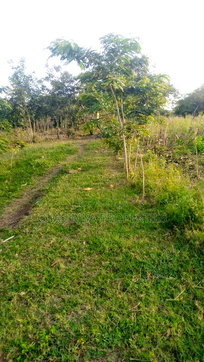 50/120 Feet Plot for Sale Along Kengeleni Road - Image 7