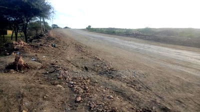 50/120 Feet Plot for Sale Along Kengeleni Road - Image 3