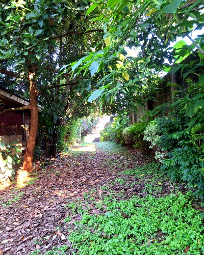 Half Acre Plot at KSh 50M