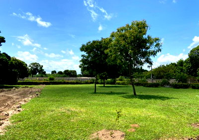 50x100 Plot with Garden in Malindi