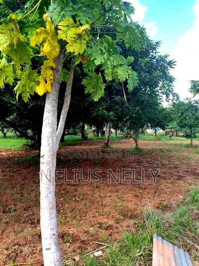 2acres Bofa Kilifi - Image 3