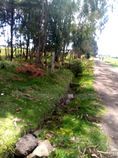 1/2 Acre on Sale at Kinangop Mtonyora - Image 2
