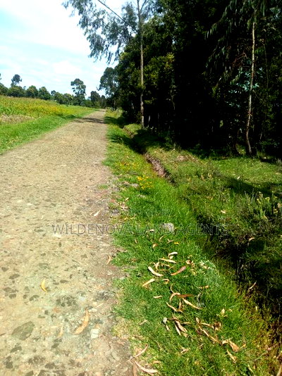 1/2 Acre on Sale at Kinangop Mtonyora - Image 1