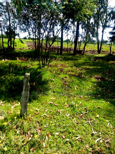 1/2 Acre on Sale at Kinangop Mtonyora - Image 3