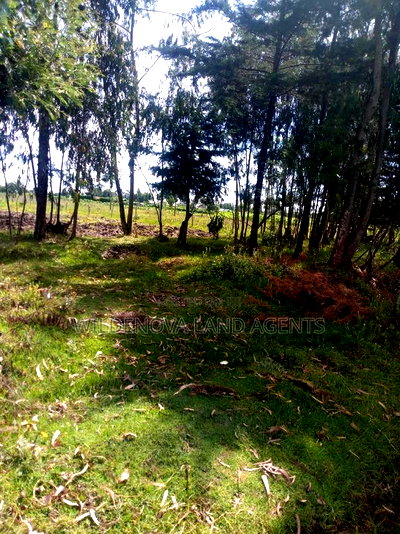 1/2 Acre on Sale at Kinangop Mtonyora - Image 4