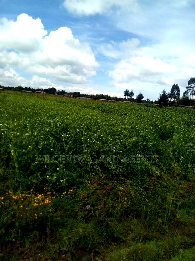 1/2 Acre on Sale at Kinangop Mtonyora - Image 6