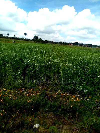 1/2 Acre on Sale at Kinangop Mtonyora - Image 5