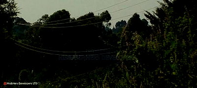 10 Acres on Sale in Ngorika at 2.5m Per Acre With Ready Title. - Image 7