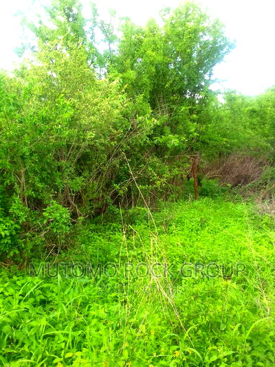 150acres for Sale - Image 1