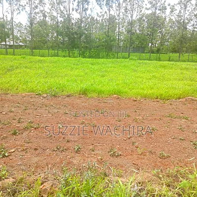 Kenol Plots Along Katipanga Road Measuring 50*100ft For Sale - Image 2