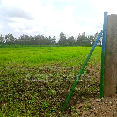 Kenol Plots Along Katipanga Road Measuring 50*100ft For Sale - Image 5