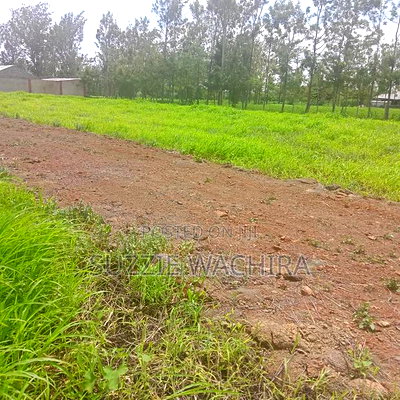 Kenol Plots Along Katipanga Road Measuring 50*100ft For Sale - Image 3