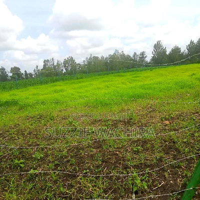 Kenol Plots Along Katipanga Road Measuring 50*100ft For Sale - Image 6