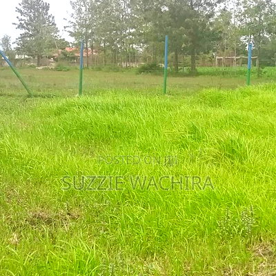 Kenol Plots Along Katipanga Road Measuring 50*100ft For Sale - Image 1