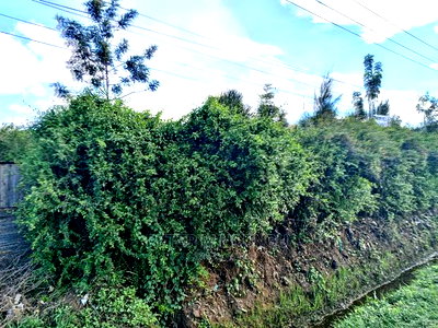 Prime One Acre on Sale Touching Thika Road - Image 3