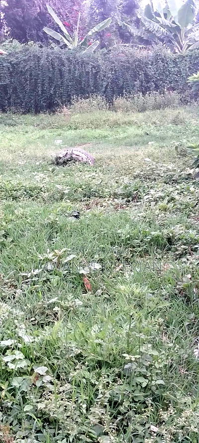 Plot in Kiserian Town for Chap Chap Sale - Image 8